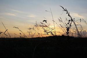 campo in hegau, germania foto