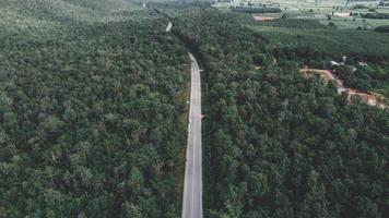 arial Visualizza di un' autostrada attraverso un' foresta a tramonto foto