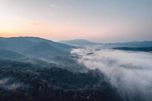 mattina nebbia e nuvole nel il collina foresta foto