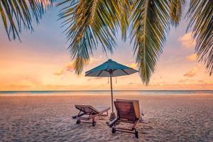 bellissimo tropicale tramonto scenario, coppia sedie, lettini, ombrello sotto palma albero. avvicinamento mare sabbia cielo orizzonte, colorato crepuscolo nuvole, rilassare tranquillo vacanza paesaggio. estate vacanza, idilliaco foto