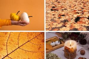 autunno collage con occhiali da sole di arancia. autunno concetto foto