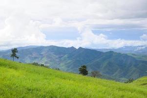 bella vista sulle montagne verdi nella stagione delle piogge foto