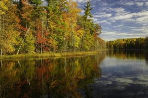 specchio d'acqua vicino agli alberi d'autunno foto