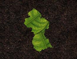 Guyana carta geografica fatto di verde le foglie su suolo sfondo ecologia concetto foto