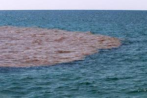 il colore di il acqua nel il mediterraneo mare nel superficiale acqua foto