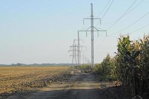 energia poli vicino il campo di mais foto