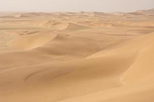 deserto della Namibia foto