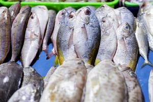 un' varietà di marino pesce foto