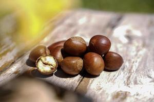 fresco castagne isolato su un' di legno pavimento, castagne avere un oleoso dolce gusto. foto