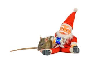 carino ratto su bianca sfondo con Santa claus, Natale concetto isolato. foto