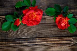 bellissimo rosso Rose su un' di legno sfondo foto