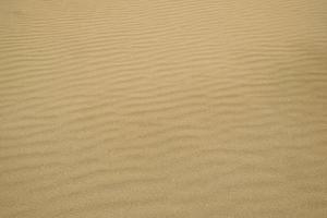 ondulato deserto sabbia struttura sfondo. giallo bene spiaggia sabbia. struttura sfondo di d'oro sabbia, estate sole vacanza concetto. il struttura di il spiaggia sabbia come sfondo. foto