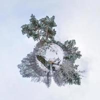 inverno minuscolo pianeta nel neve coperto pineta foresta. trasformazione di sferico panorama 360 gradi. sferico astratto aereo Visualizza nel foresta. curvatura di spazio. foto