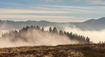 nebbia che copre le foreste di montagna foto