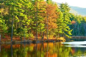 stagno nella foresta nazionale della montagna bianca, New Hampshire