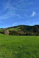 bellissimo Visualizza di un' verde lussureggiante campagna paesaggio foto