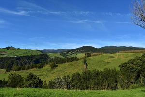 bellissima verde erba i campi e rotolamento colline nel il azzorre foto