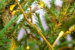 corda luci su naturale Natale albero avvicinamento foto