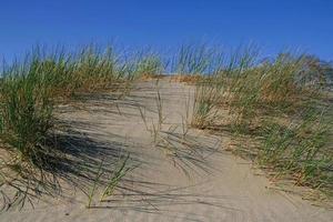sabbia dune su il riva di il baltico mare. marram erba in crescita nel il sabbia. paesaggio con spiaggia mare Visualizza, sabbia duna e erba. foto