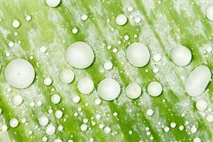 acqua perline e acqua goccioline sistemato su verde le foglie con bianca pelle su il foglia superficie. foto