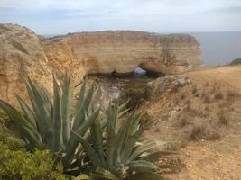 Portogallo algarve landskape blu oceano e giallo canyon foto