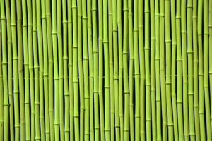 bambù verde. l'immagine può essere utilizzata come sfondo
