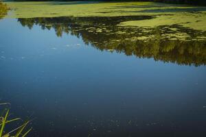 fiume nel il rurale foto