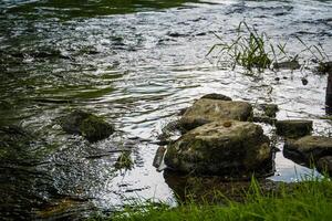 fiume nel il rurale foto