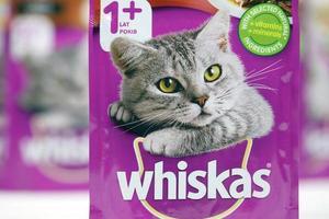 Kharkiv, Ucraina - febbraio 06, 2021 whisky marchiato gatto animale domestico cibo viola pacchi vicino su. whisky è un' globale marca di gatto cibo prodotta di il americano azienda Marte foto