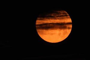 fiore sangue pieno Luna nel Maggio in breve prima il lunare eclisse con rosso colore foto