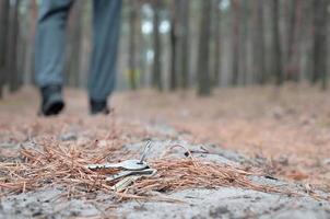 giovane uomo perde il suo chiavi mazzo su russo autunno abete legna sentiero. disattenzione e perdente chiavi concetto foto