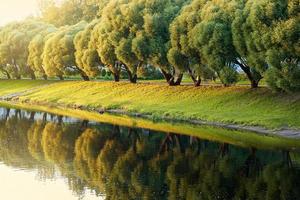 panoramico lago nel il estate parco. verde alberi illuminato di luminosa luce del sole riflessa nel il acqua. foto