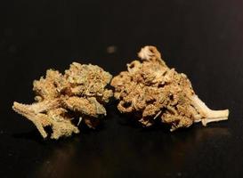 marijuana medico cattivo CBD vicino su botanico sfondo grande dimensione alto qualità Stampa foto