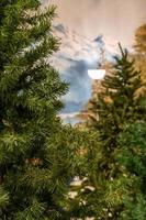 circondato di rispecchiato sintetico pino alberi, Natale scena foto