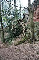 un' Visualizza di il shropshire campagna a grinshill foto