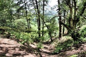 un' Visualizza di il shropshire campagna vicino grinshill foto