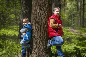 Due fratelli nel il foresta nel il primavera. interazione di bambini. prendere un' camminare nel il verde parco nel il fresco aria. il magico leggero a partire dal il di sole raggi cascate dietro. foto