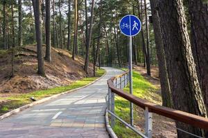 un' avvolgimento bicicletta sentiero nel un' estate parco tra pino alberi, un' a piedi sentiero per a passeggio, un' bicicletta sentiero cartello foto