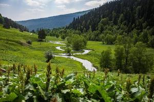 magnifico Visualizza di Caucaso montagne e cielo foto