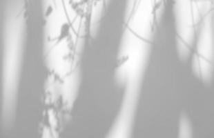 foglie astratte sovrapposizione di ombra naturale su sfondo bianco, per sovrapposizione su presentazione del prodotto, sfondo e mockup foto