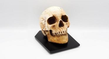 umano cranio testa modello fatto a partire dal colofonia plastica. foto