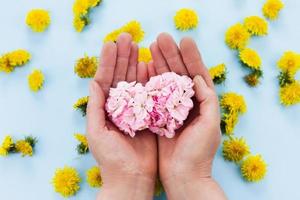 mani siamo Tenere luminosa fiori su un' pastello blu sfondo foto