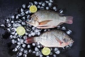 tilapia fresca su ghiaccio con limoni foto