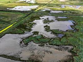 paludi a salina nel norfolk foto