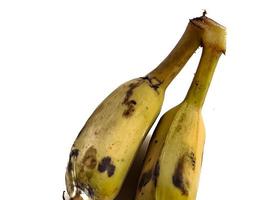 un' mazzo di vecchio e troppo maturo nam wah Banana quale è molto gustoso e dolce foto