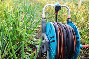 un Immagine di un' giardino tubo flessibile. tubo flessibile per irrigazione foto