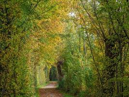 autunno tempo a un' fiume nel Germania foto