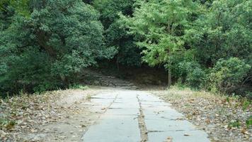 il vecchio arcuato pietra ponte Visualizza collocato nel il campagna di il Cina foto