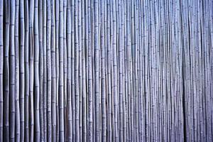 recinto di bambù foto