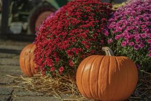 arancia zucca a all'aperto contadino mercato foto